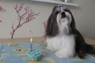 Keiko's 4th Birthday
